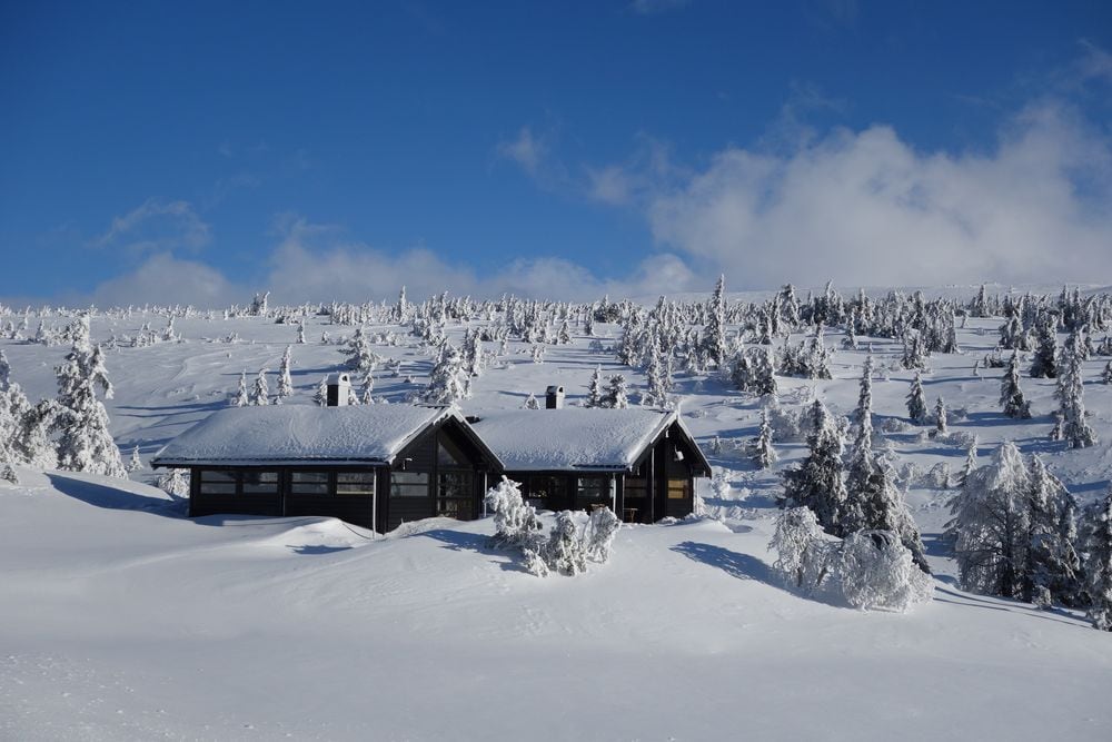 Hytta på Springhaug i Eggedal, nedsnødd på fjellet med rimfrosne trær og blå himmel